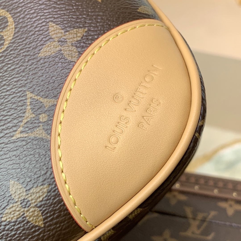 LV Satchel bags